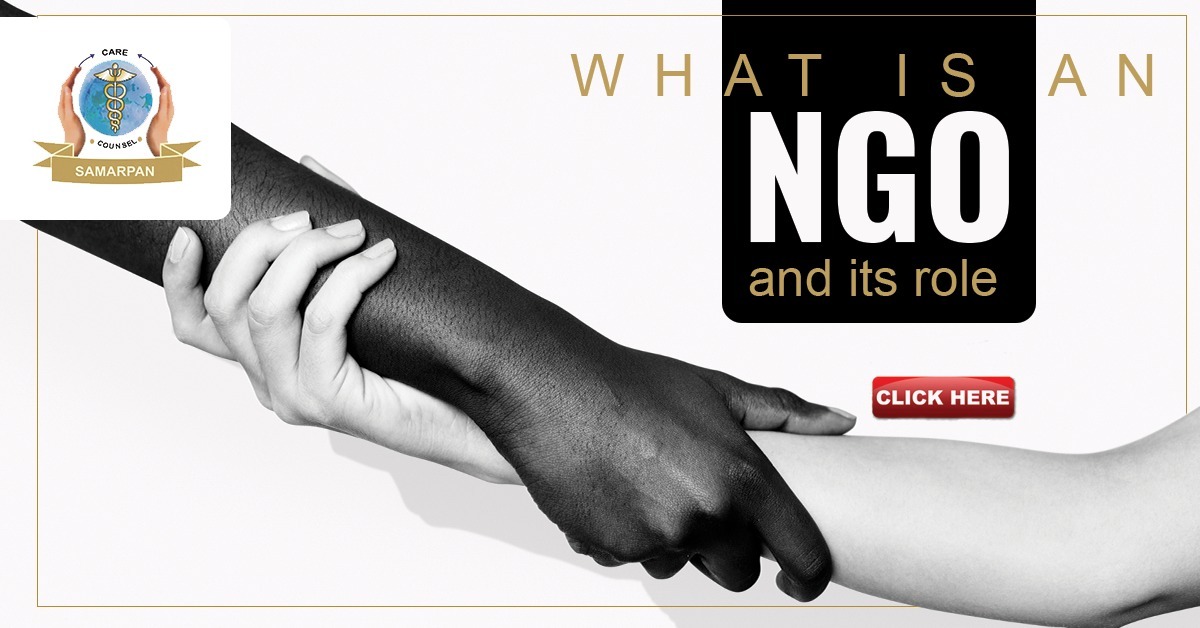 What Is An NGO And It’s Role?